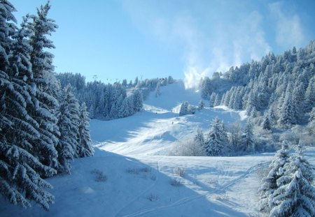 beautiful ski slope - ski, winter, slope, forest, mountain