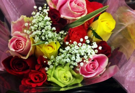 The Flowers Of Spring - flowers, spring flowers, The Flowers Of Spring, pink roses, red roses, spring roses