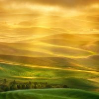 golden light over hills