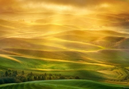 golden light over hills - sunrise, hills, golden, fields