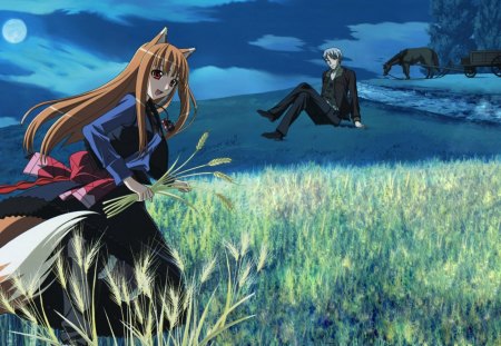 Spice and Wolf - anime, Holo, goddess of the harvest, manga, cornfield, fantasy, horses, Craft Lawrence, adventure