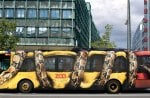 zoo ad