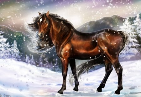 Pretty horse - animal, winter, horse, snow