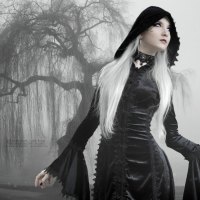 Madame Grey