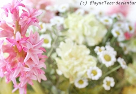 Spring Mood - flowers, mood, hyacinth, spring, pink