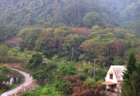 Rural  landscape - house, landscape, forest, Rural