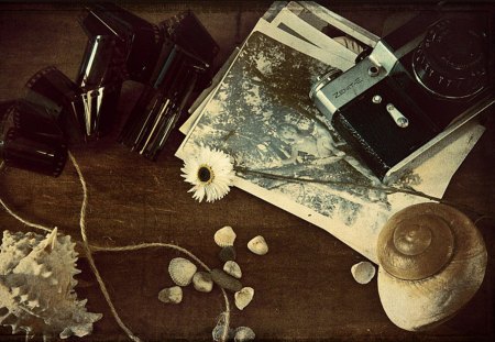 Vintage - flower, sepia, camera, vintage