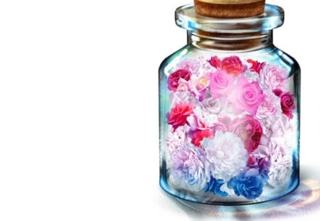 Flower in the Jar - flower, rose, cute, plain, beautiful, blossom, white, floral, simple, kawaii, beauty, sweet, anime, bottle, jar, petals, roses, nice, lovely, inside