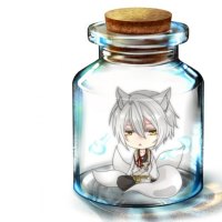 White Fox in the Jar