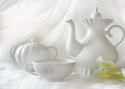 Beauty of white - pot, white, bowl, tea, flower