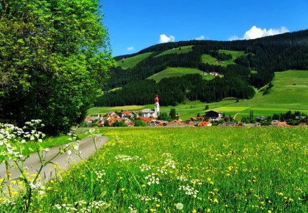 Cycling holiday - summer, cycling, road, beautiful, village, cottage, cabin, grass, mood, countryside, weekend, bike, field, nature, path, greenery, vely, meadow, pretty, flowers, wildflowers, spring, sky, holiday, freshness, houses, nice, slopes, lovely, trees, green