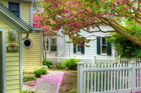 Nice House - fence, tree, flowers, house