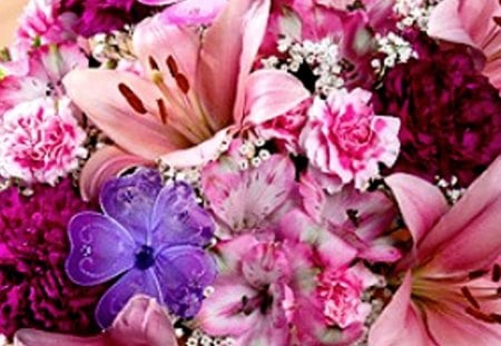 Colorful flowers - new, image, wallpaper, color