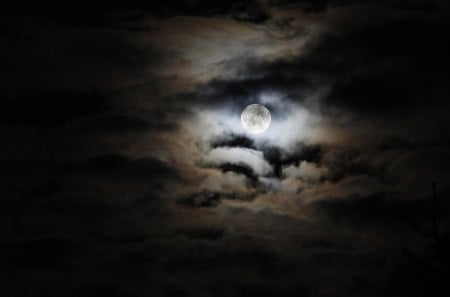 moon madness - moon, nature, sky, clouds