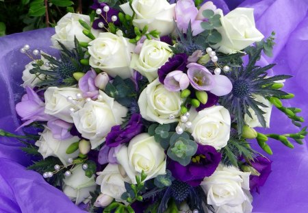 White roses - beauty, freshness, roses, mixed, bouquet, white roses, nature, white, purple, petals, flowers