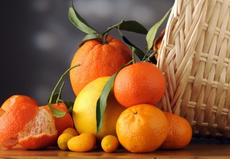 Fruits - tangerines, citrus fruits, fruits, oranges