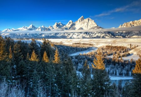 Winter - snow, Winter, forest, mountain