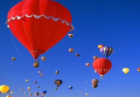 Have a happy day. - ballons, air, blue, red