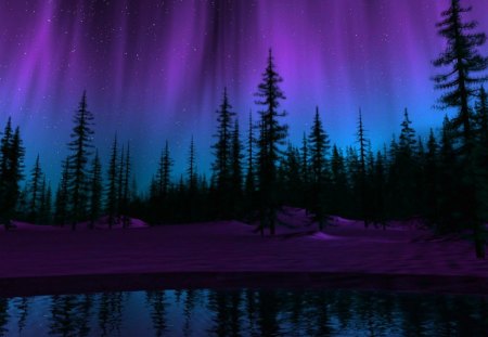 The northern lights - trees, purple, blue, lake, night, stars