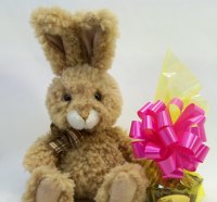 Fluffy Friend with Presentâ™¥