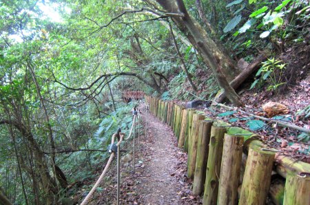 Mountain trail - Mountain, trail, wood, bridge