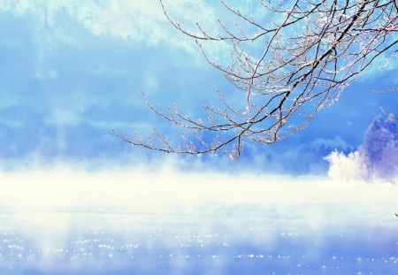 Bohinj Lake - lake, slovenia, mist, blue