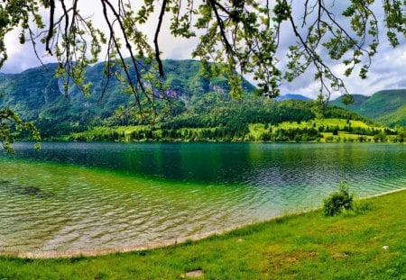 Bohinj Lake - lake, forest, slovenia, nature, green