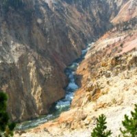 Grand canyon at Yellowstone