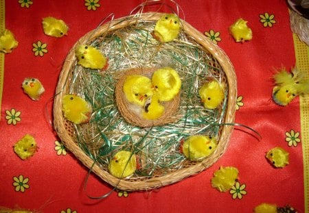 Easter - easter, chickens, photography, nice, photo, Bulgaria