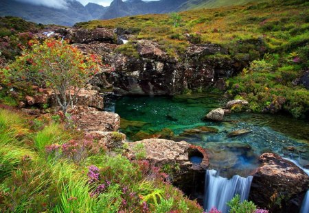 Mountain stream - nice, stream, rocks, pretty, river, grass, mountain, hills, flow, summer, peaks, lovely, nature, beautiful, flowers, stones, woldflowers