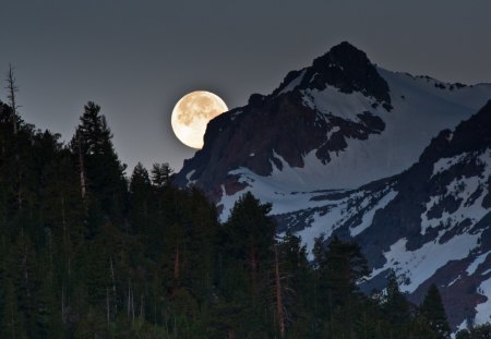 Moon pass - at night, trees, forest, mountains, snowy, landscapes