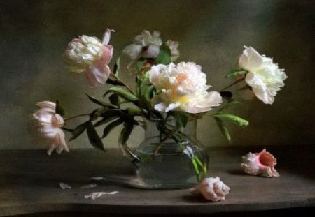 Falling petals - peonies, petals, flowers, vase, shell