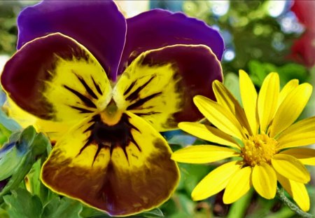 Garden and Wild flower - garden flower, enhanced, flower, wild flower