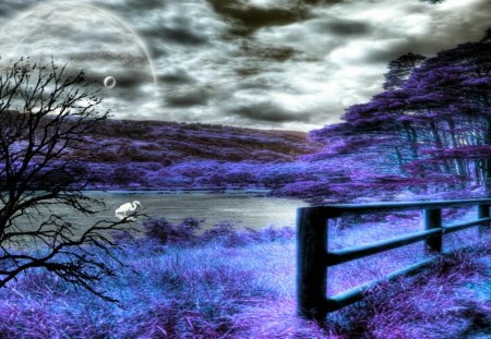 Edge of the Forest - edge, purple, fence, forest, fantasy