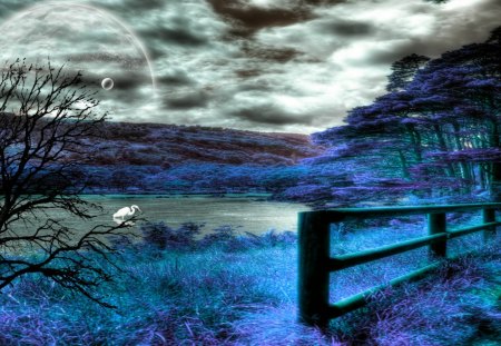 Edge of the Forest - forest, fantasy, fence, blue