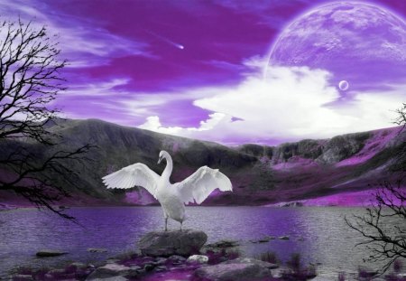 Swan Song - swan, swansong, purple, fantasy, bird