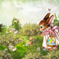 Bunny Egg Hunt