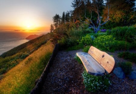 Bench in Morning Dust