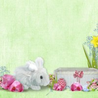 Bunny Basket