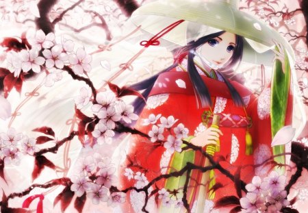 Cherry Blossom - sexy, hot, girl, female, anime girl, cherry blossom, floral, sakura, pink, blossom, anime, sakura blossom, cute, flower