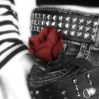 red rose