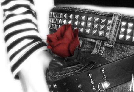 red rose - photography, wp, bw, black, rose, white, art, duotone, red rose