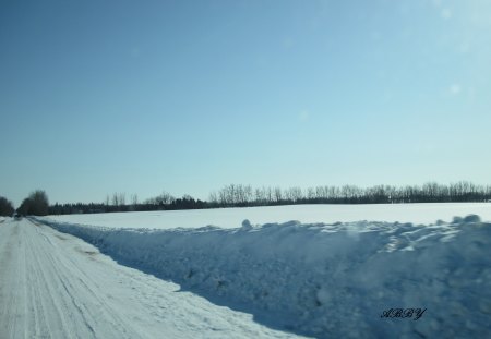 Winter with a blue sky - white, sky, trees, blue, photography, winter, roads