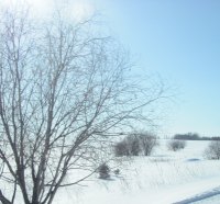 Fields with snow