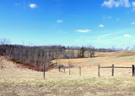 A Farmers Pride - trees, gate, green, wood, brown, grass, field