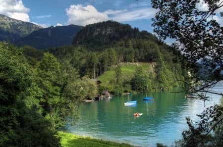 splendor our world - lake, amazing, trees, boat