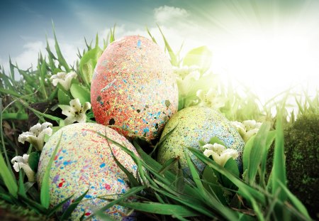 Happy Easter! ♥ - eggs, sunshine, spring, grass, holidays, celebration, Easter, green, event, freh