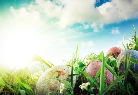 Happy Easter! â™¥ - spring, holidays, eggs, special day, grass, fresh, easter, sky, event, clods, sunshine, green