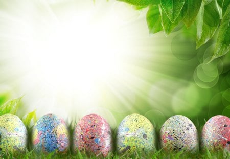 Happy Easter! ♥ - blessed, green, sunshine, spring, grass, holidays, Easter, leaves