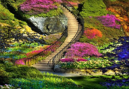 Stairway to beauty - stairway, beauty, flowers, spring, park, colors